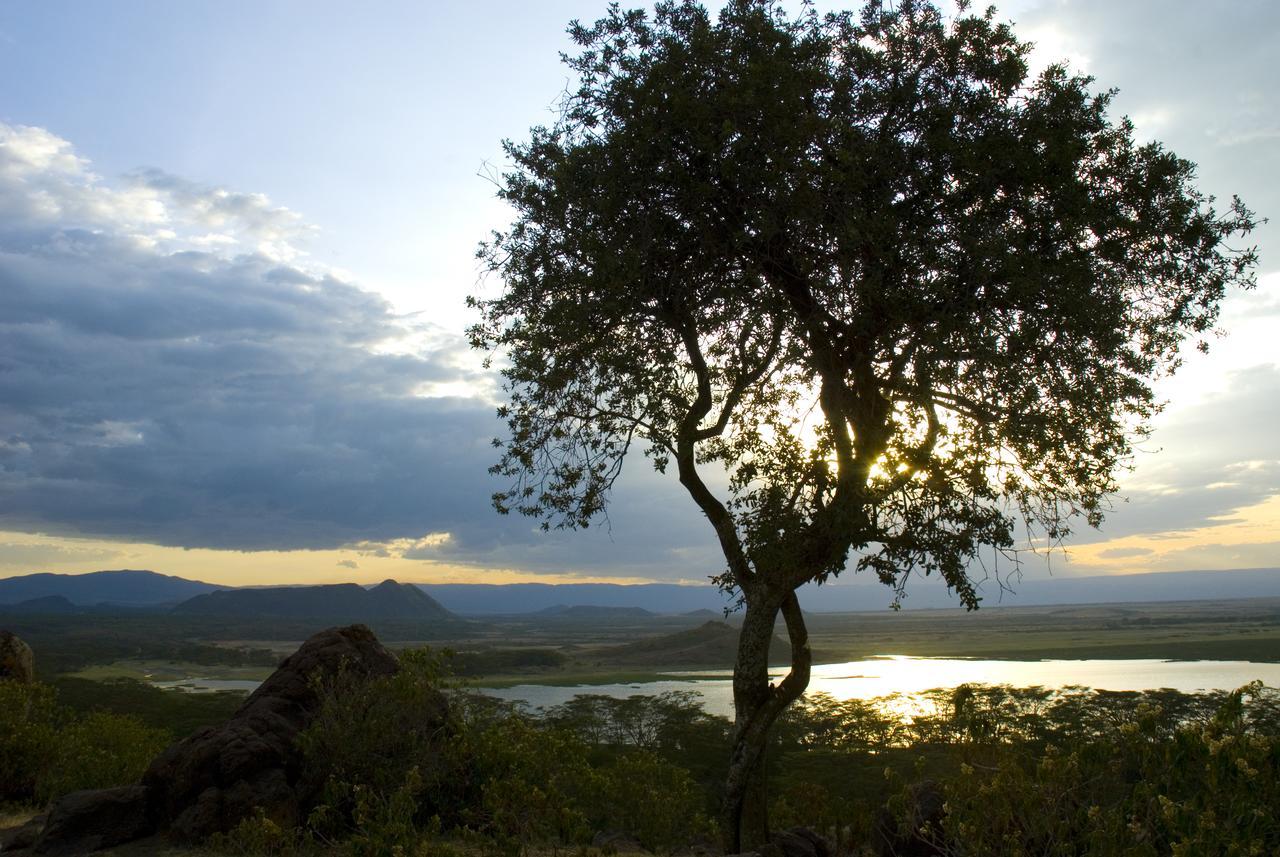 Jacaranda Lake Elementaita Lodge Gilgil 외부 사진