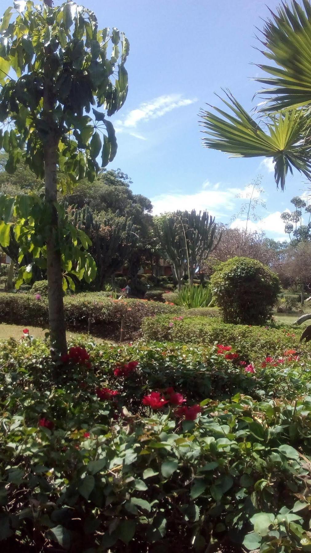 Jacaranda Lake Elementaita Lodge Gilgil 외부 사진